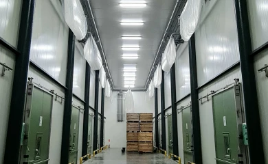 Viorix-Agro SRL