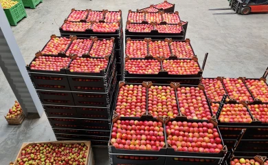 Agroconst-Prim SRL